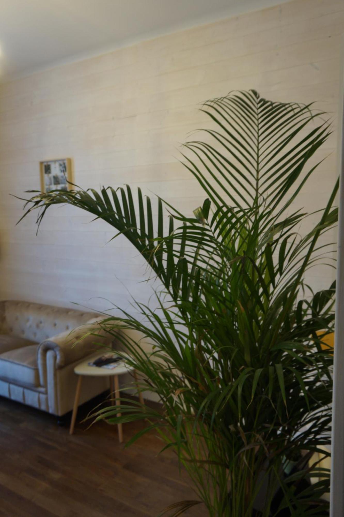 L'Experience Appartement & Spa Prive Chambéry 외부 사진